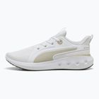 Încălțăminte de alergare  PUMA Softride Carson puma white/desert dust