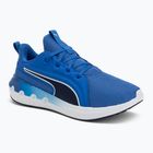 Încălțăminte de alergare  PUMA Softride Carson vivid blue/puma navy