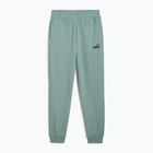 Pantaloni pentru bărbați PUMA ESS No. 1 Logo Sweatpants TR CL green moon