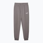 Pantaloni pentru bărbați PUMA ESS No. 1 Logo Sweatpants TR CL cast iron