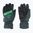 Mănuși de schi pentru copii  ZIENER Leif GTX dark jungle