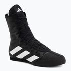 Încălțăminte de box adidas Box Hog 4 black/white