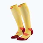 Șosete compresive pentru femei CEP Run Tall 5.0 marigold/burgundy