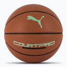 Minge de baschet PUMA teamJAWS Court Pro Basketball leather brown/dark shadow mărime 7