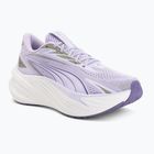 Încălțăminte de alergare Puma Maxima Pro light lavender/plum purple