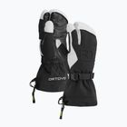 Mănuși de schi pentru bărbați  ORTOVOX Merino Freeride 3 Finger black