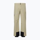Pantaloni de schi pentru bărbați Descente Light Insulated snow conifer
