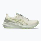 Încălțăminte de alergare pentru bărbați ASICS GT-1000 13 TR nature bathing/lime green