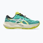 Încălțăminte de alergare pentru bărbați ASICS Trabuco 14 aurora green/light dust