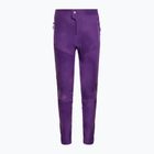 Pantaloni de ciclism pentru femei Endura MT500 Burner thistle