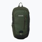 Rucsac de turism REGATTA Highton V2 20 l dkkhk/frlfcl