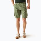 Pantaloni de trekking pentru bărbați REGATTA Ruwan fauna