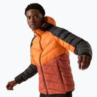 Geacă de puf pentru bărbați  REGATTA Hooded Dalent fox/red ochre
