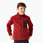 Bluză pentru copii REGATTA Junior Frankie Full Zip red ochre