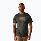 Tricou de trekking pentru bărbați REGATTA Fingal IX ash marl