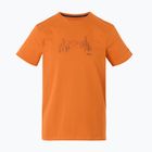 Tricou de trekking pentru bărbați REGATTA Breezed V fox