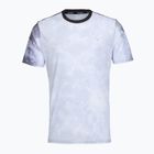 Tricou de alergare pentru bărbați Mizuno Graphic Short Sleeve Tee tsukikage