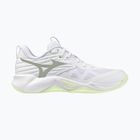 Încălțăminte de volei pentru femei Mizuno Wave Momentum Pro white/aqua gray/ambrosia