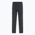 Pantaloni pentru bărbați Ellesse Teratilo Cargo black