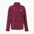 Bluză fleece pentru copii REGATTA Hot Shot II dark pimento