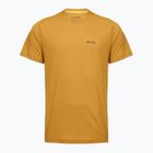 Tricou de trekking pentru bărbați REGATTA Mindoi Anti Insect wood brown