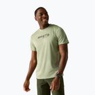 Tricou de trekking pentru bărbați REGATTA Fingal light sage
