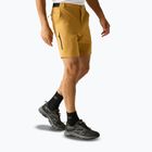 Pantaloni scurți de trekking pentru bărbați REGATTA Anti Insect Travel Light wood brown