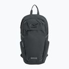 Rucsac de oraș REGATTA Everyday Prism 20 l ash