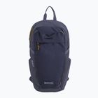 Rucsac de oraș REGATTA Everyday Prism 20 l night sky