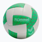 Minge de handbal Hummel Evolution Advanced AR HB off white/green/red size 3
