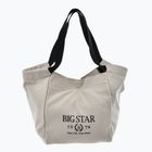 BIG STAR geantă pentru femei NN574058 bej