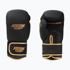 Mănuși de box StormCloud Boxing Pro black/gold
