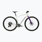 Bicicletă gravel KROSS Esker 1.0 FL grey/purple/gloss