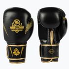 Mănuși de box din piele naturală Bushido, negru, B-2v13-10oz