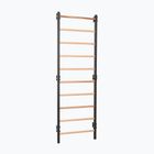 Scară de gimnastică RINAGYM Steel 1 graphit
