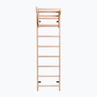 BenchK bronz scara de gimnastică de bronz BK-111