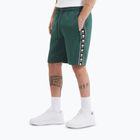 Pantaloni scurți pentru bărbați Pitbull Track Shorts Powers bottle green