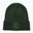 Căciulă de iarnă Pitbull Beanie San Diego Ca dark green