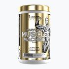 Pre-antrenament Fitness Authority Levrone Gold Maryland Muscle Machine 385 g fruit punch