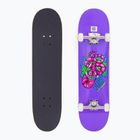 Skateboard clasic Fish Skateboards Beginner Huron 8.0"