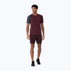 Pantaloni scurți pentru bărbați 4F M290 burgundy