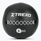 Minge medicinală TREXO Wall Ball 5 kg negru