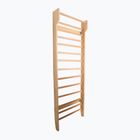 Scară de gimnastică XTREXO LW100 wooden