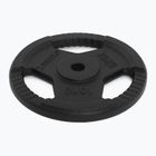 Greutate din fontă XTREXO TRX-ICP010 10 kg crom