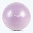 Minge de gimnastică XTREXO TXO-B4Z008-VT 65 cm violet