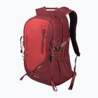 Rucsac de turism Alpinus Teide 24 l burgund