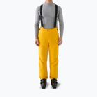 Pantaloni de schi pentru bărbați 4F Fnk M1086 yellow
