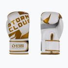 Mănuși de box StormCloud Bolt 3.0 white/gold