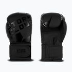 Mănuși de box StormCloud Bolt 3.0 black/black