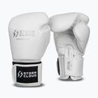 Mănuși de box StormCloud Muay Thai Blizzard 2.0 white/silver